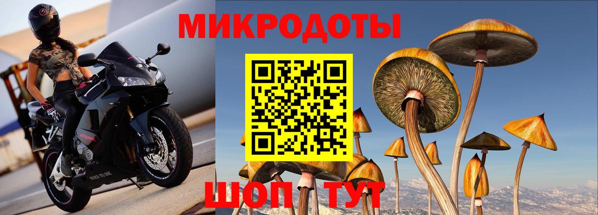 Галлюциногенные грибы Cubensis Карталы