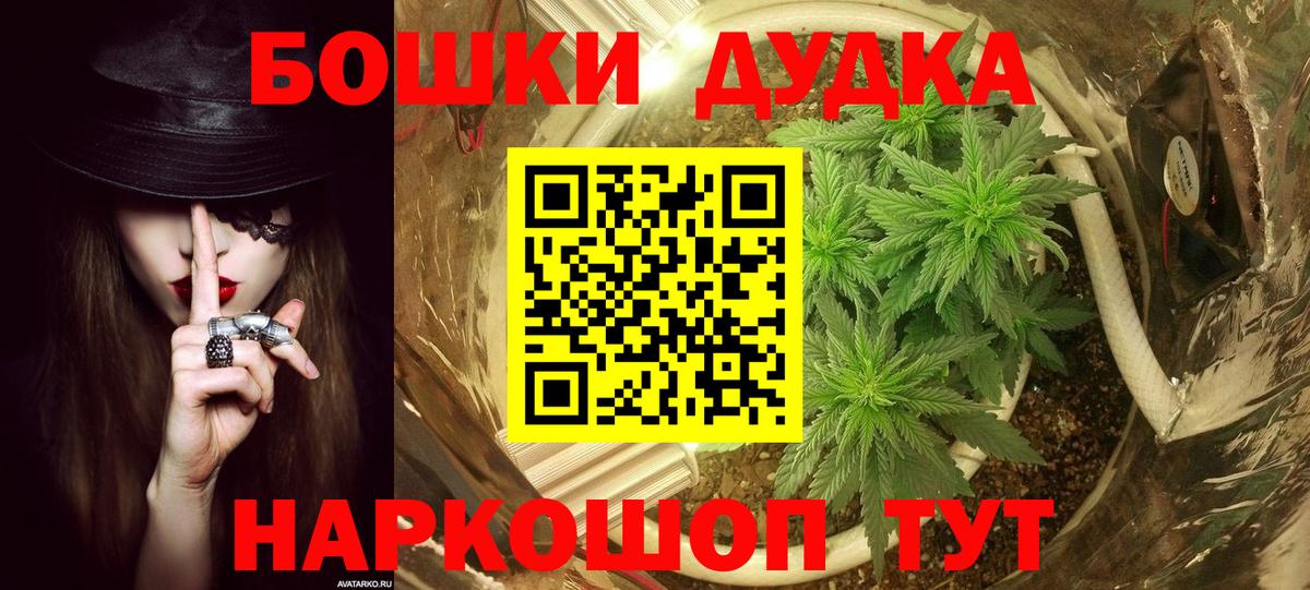 Каннабис сатива  Вход с VPN  Карталы  Каннабис OG Kush  Бошки марихуана OG Kush  МАРИХУАНА семена 